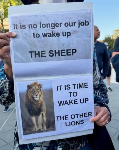wake up the other lions